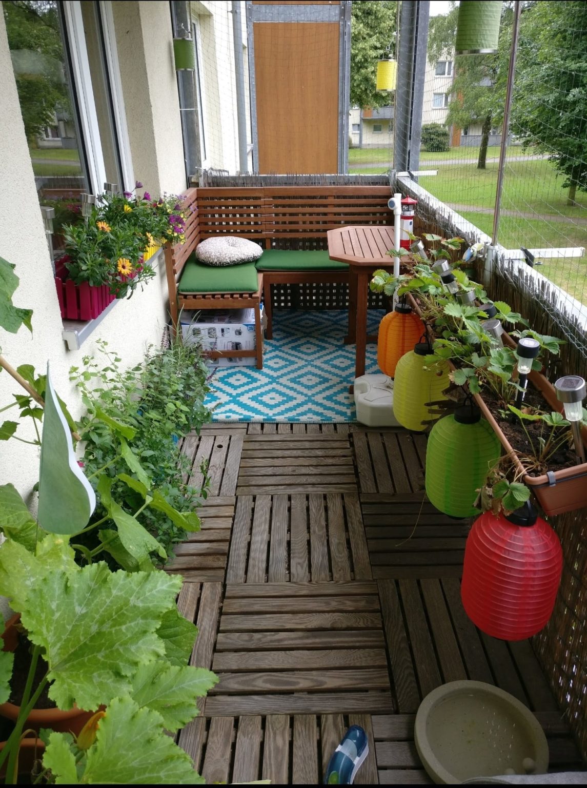 Katzenbalkon Balkon für Katzen gestalten Infos & Tipps