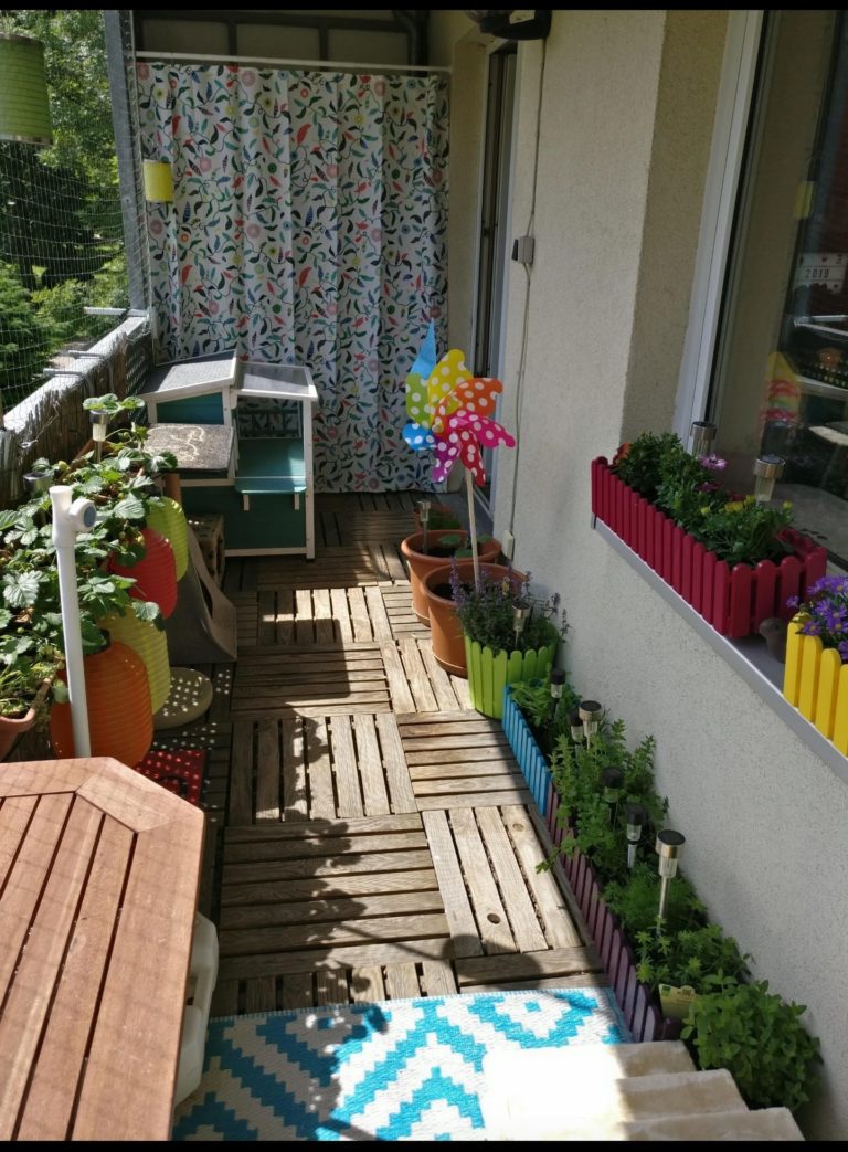 Katzenbalkon Balkon für Katzen gestalten Infos & Tipps