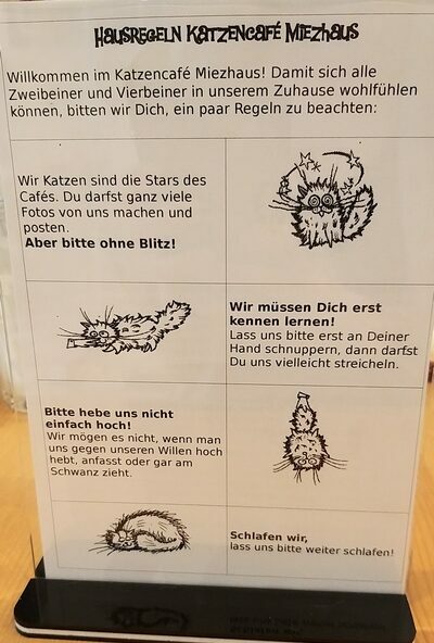 Katzencafe Miezhaus Regeln