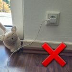 Gefahr für Katzen Handy-Ladekabel