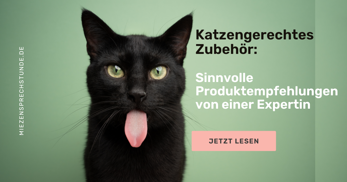 Beste Produktempfehlungen für Katzen